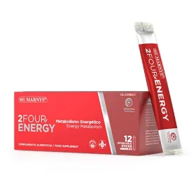 2FOURENERGY