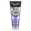 John Frieda Shimmering Shampoo for Dull Grey or White Hair Silver, 250 ml