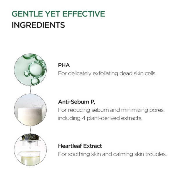 Anua Heartleaf 77 Clearpad 160ml - Image 3