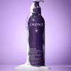 Caudalie Haircare Density & Volume Shampoo